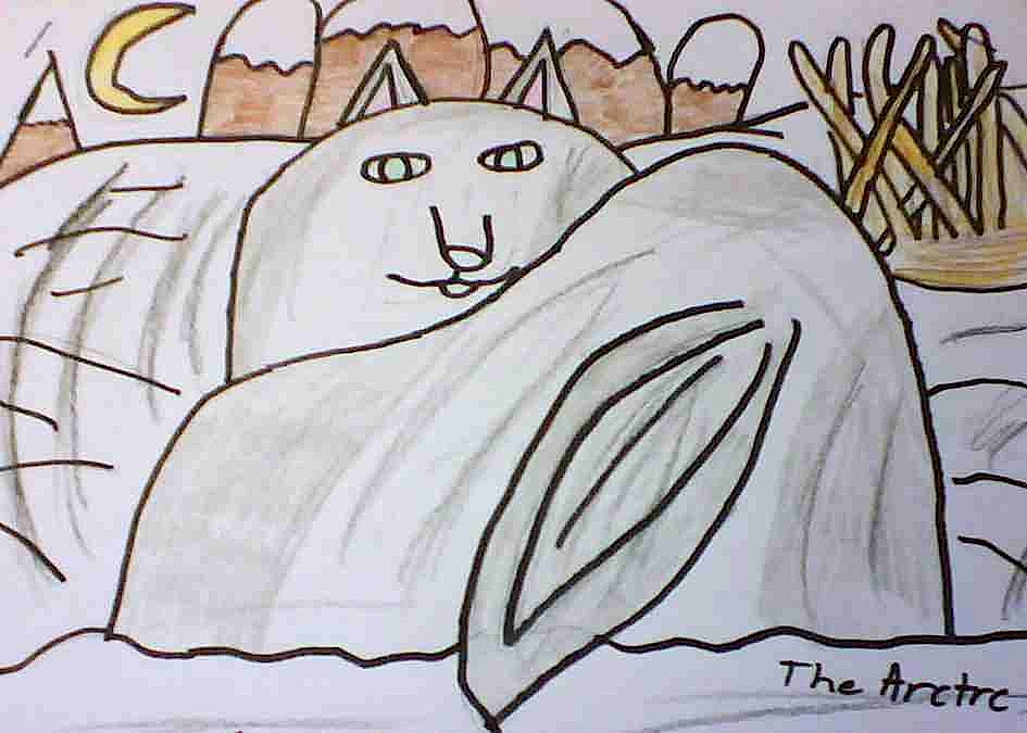 Sam's Artic Fox Winter 2008