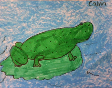 calvin's frog pic