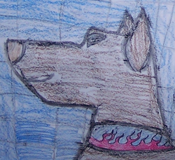 jared's dog pic